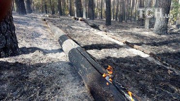 масштабна пожежа на харківщині 2_7 / © Кореспондент ТСН Мар'я Уманська