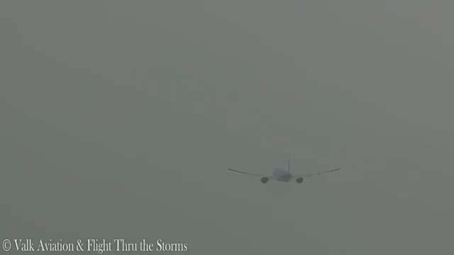 В Сети показали видео, как молния попала в пассажирский самолет в Амстердаме