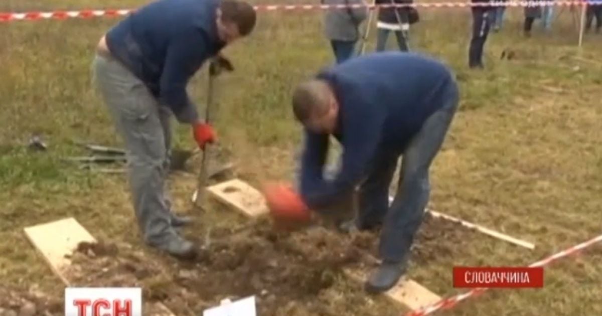 Хто викопає найгарнішу могилу. У Словаччині влаштували конкурс серед гробарів