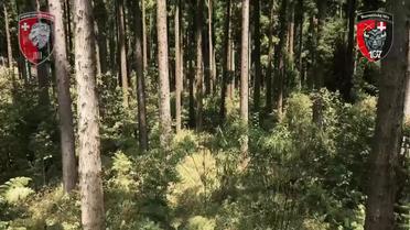 Видео с "нуля": каким был и каким стал из-за оккупантов Серебрянский лес