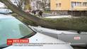 Север и Запад Польши пострадали от мощного урагана