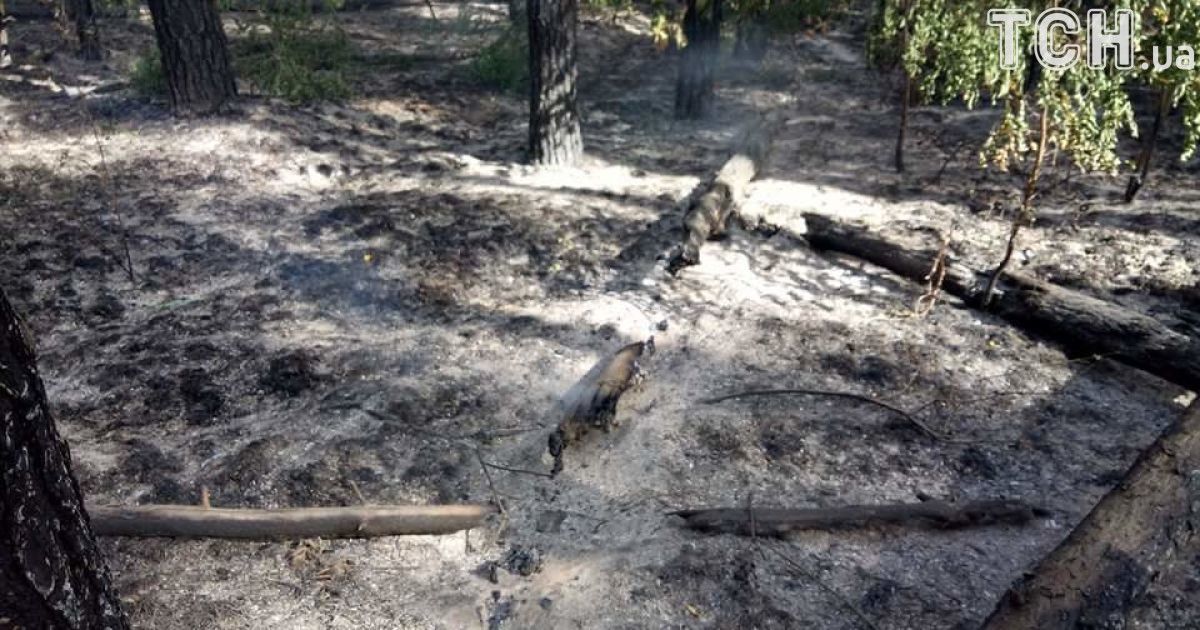 масштабна пожежа на харківщині 2_11 / © Кореспондент ТСН Мар'я Уманська