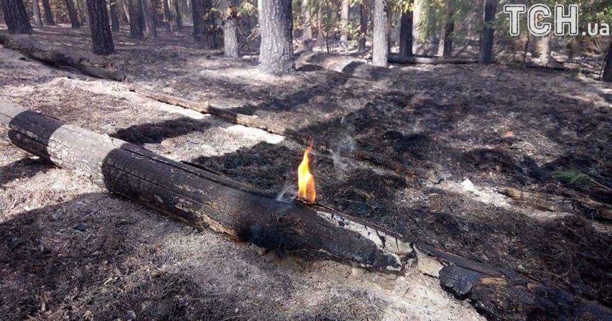 масштабна пожежа на харківщині 2_12 / © Кореспондент ТСН Мар'я Уманська