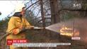 У кількох областях України вже добу боряться з масштабними лісовими пожежами