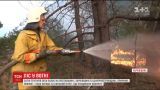 В нескольких областях Украины уже сутки борются с масштабными лесными пожарами