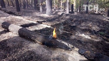 масштабна пожежа на харківщині 2_12 / © Кореспондент ТСН Мар'я Уманська