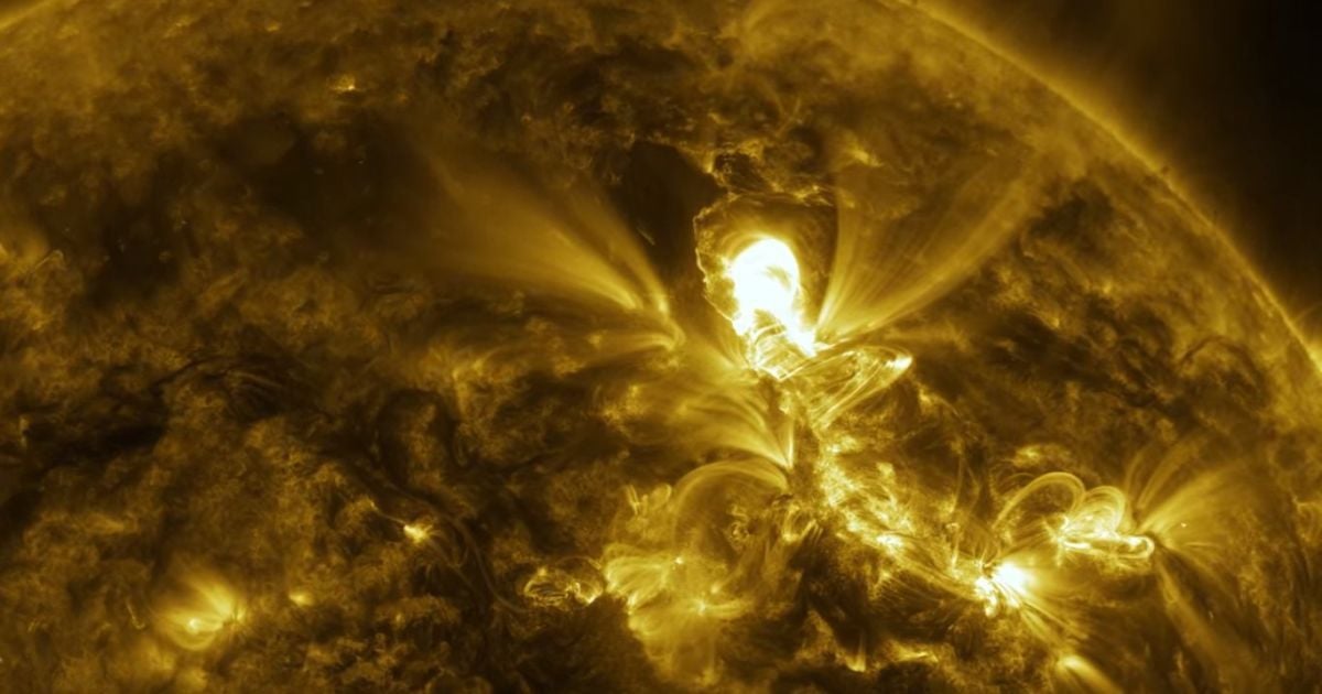 NASA показало впечатляющее видео активности Солнца