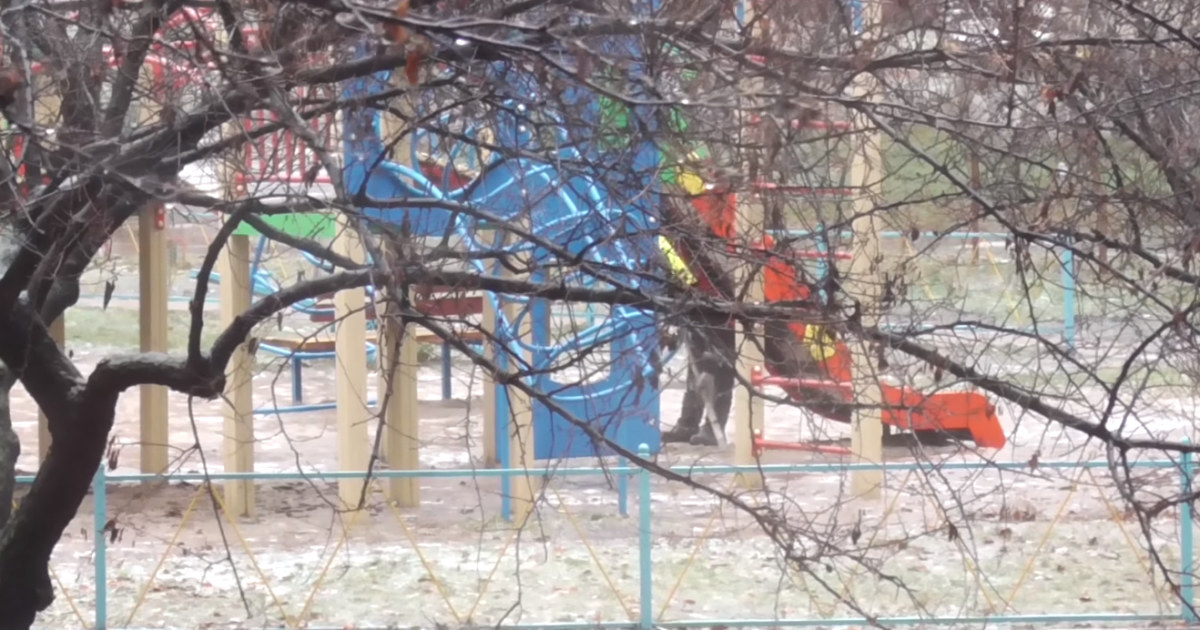 В Киеве обнародовали видео, как дворник выгребает песок с детской площадки, чтобы посыпать двор