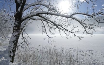 Морози повертаються: якою буде погода вихідними в Одесі