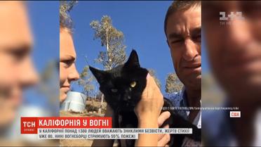 На фоне пожаров в Калифорнии случаются трогательные истории с хорошим концом