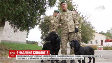 На Львовщине выбирают самую ловкую собаку-пограничника