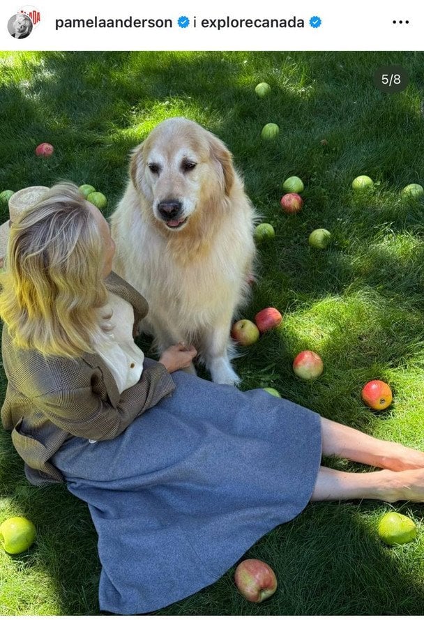 Памела Андерсон / © Instagram Памели Андерсон