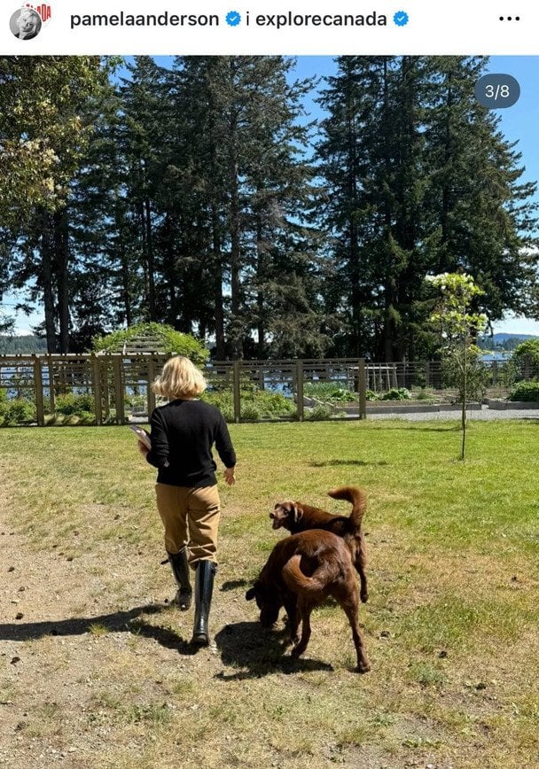 Памела Андерсон / © Instagram Памели Андерсон