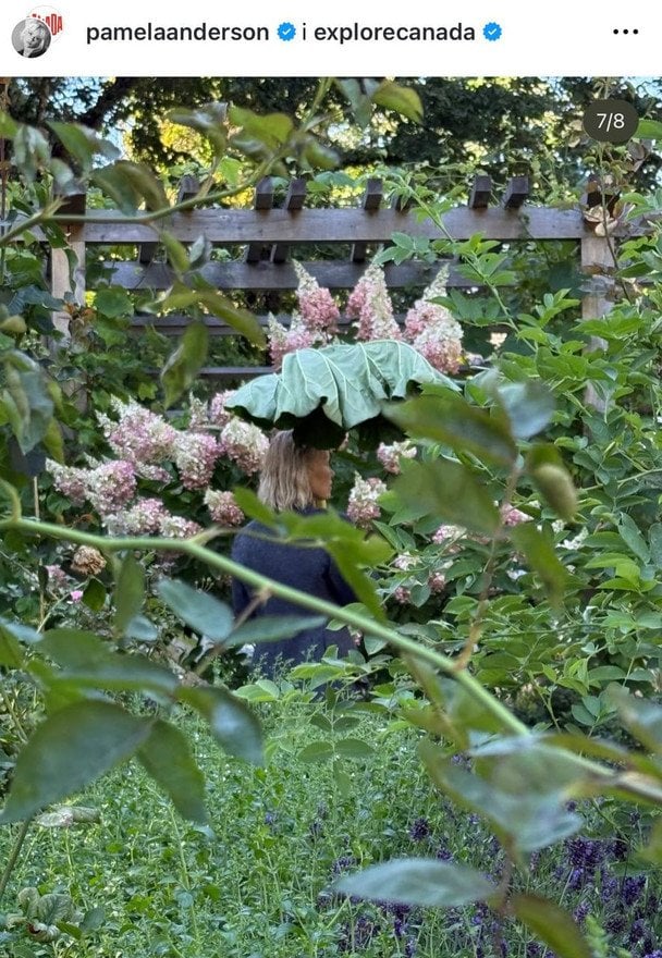 Памела Андерсон / © Instagram Памели Андерсон