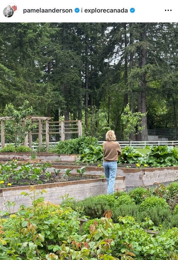 Памела Андерсон / © Instagram Памели Андерсон