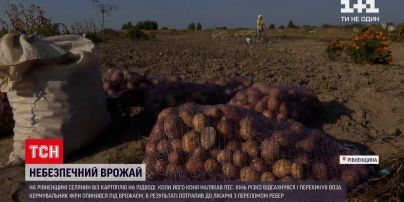 Новини України: селянина з Рівненської області причавило картоплею