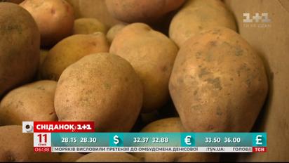 Почему и на сколько вырос в цене картофель