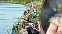 Риба-хижак у водоймах Києва