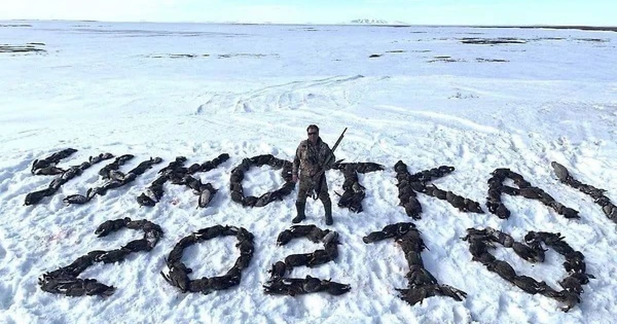 Фото: соцмережі