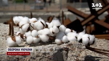 Квітка Перемоги: як рослина може забезпечити незалежність українського оборонпрому?