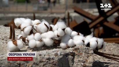 Квітка Перемоги: як рослина може забезпечити незалежність українського оборонпрому?