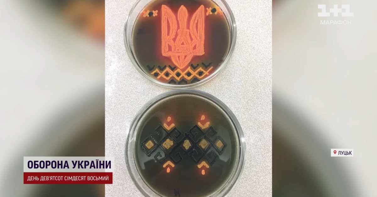 Робота науковиці