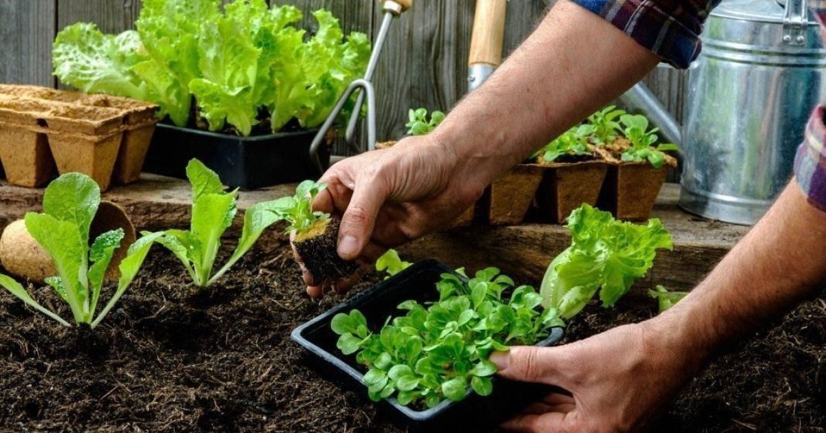 Когда можно работать на земле после Пасхи