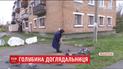 У Шепетівці на Хмельниччині 95-річна бабуся опікується усіма міськими голубами