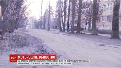 У лісі на околиці столиці знайшли розчленоване тіло