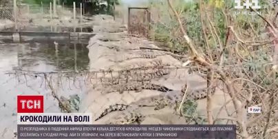 Новости мира: в Южной Африке полиция разыскивает крокодилов, сбежавших из питомника