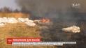 В 18 раз больший штраф или срок за решеткой: для поджигателей сухой травы ужесточили наказание