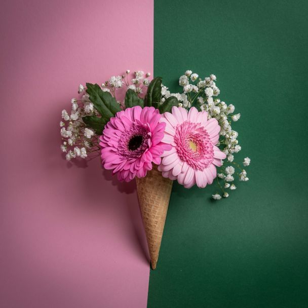 День ангела 19 квітня — душевні привітання в прозі і віршах / © Unsplash