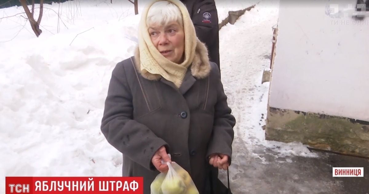 В Виннице бабушку оштрафовали на 11 тысяч гривен за продажу яблок из сада