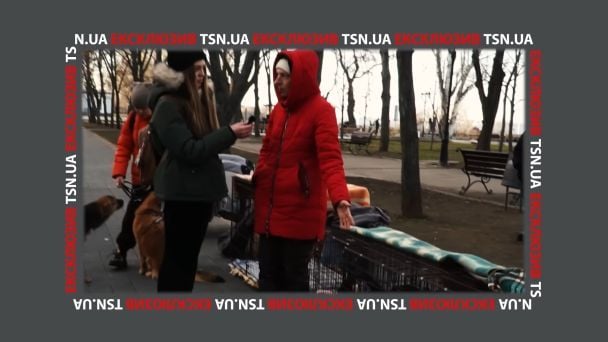 В Николаеве волонтеры пытаются пристроить животных/Скриншот с видео