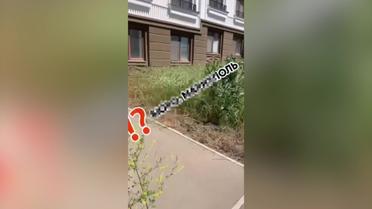 У Маріуполі новобудови заростають травою, окупанти бездіють