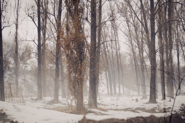 Nevicate / © Pexels