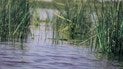 Водойма