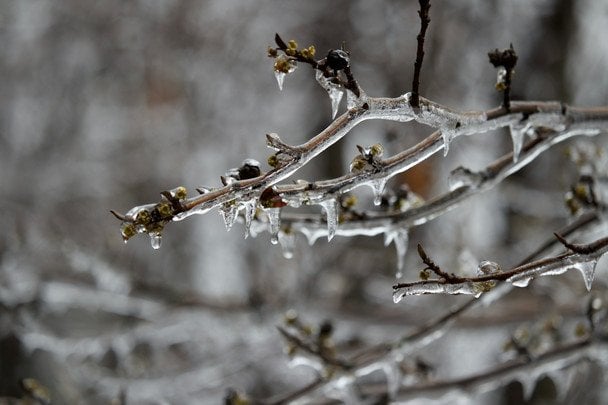 Народні прикмети 21 листопада / © unsplash.com