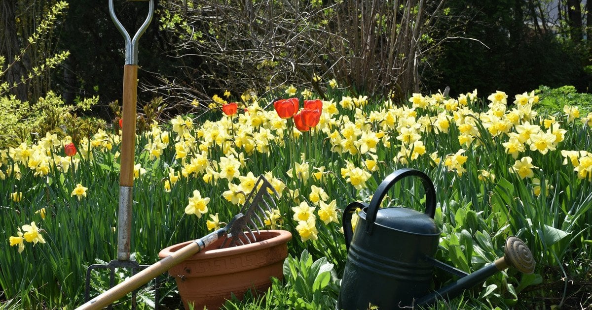 Місячний посівний календар на травень 2026 року