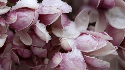 Гороскоп на 13-19 апреля 2026 года