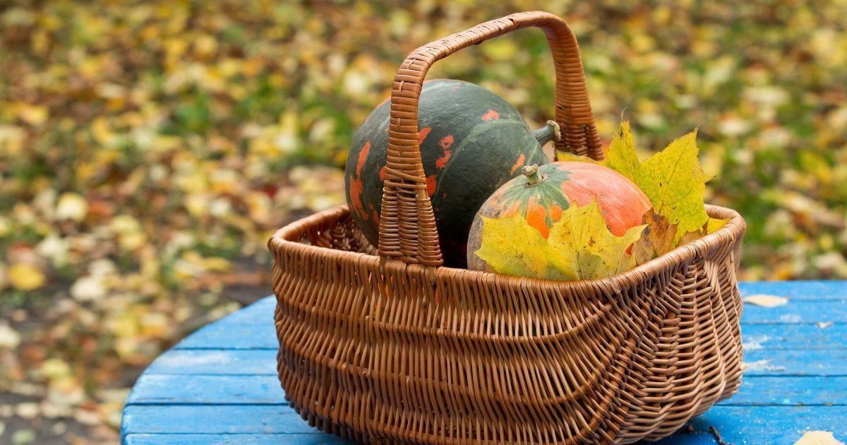 Посівний календар на жовтень 2023 року