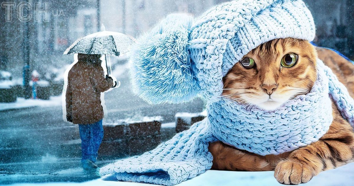 Поїолодання в Україні