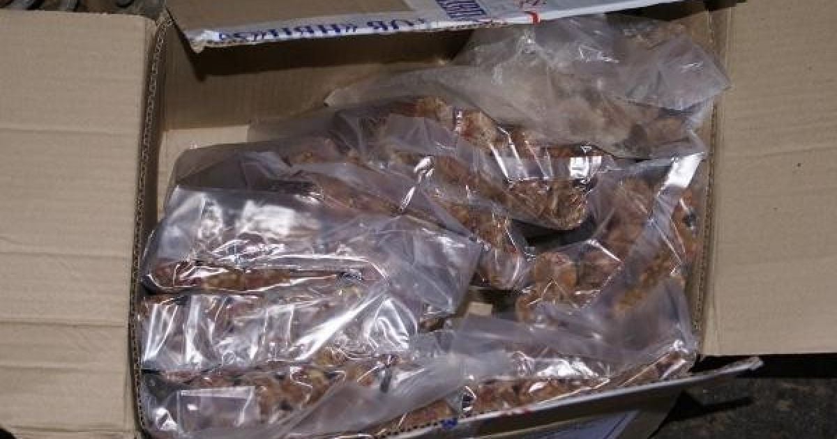 На Запорожье правоохранители обнаружили 40 килограммов опасного взрывчатого вещества