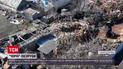 Безумные убытки: черные лесорубы попались