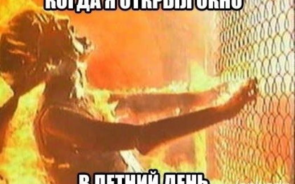 © Фото из открытых источников