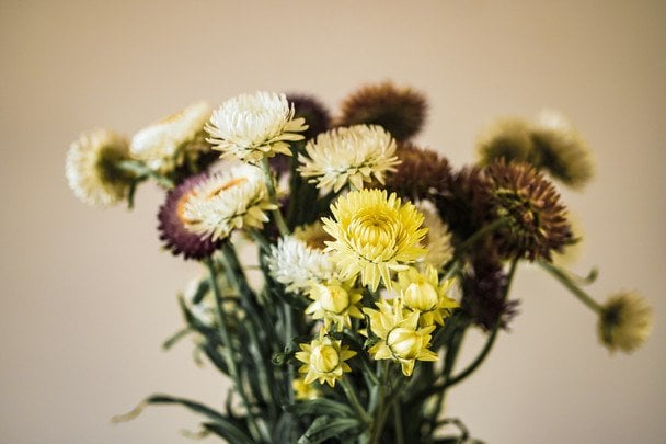 День ангела 25 сентября — душевные поздравления в прозе / © unsplash.com