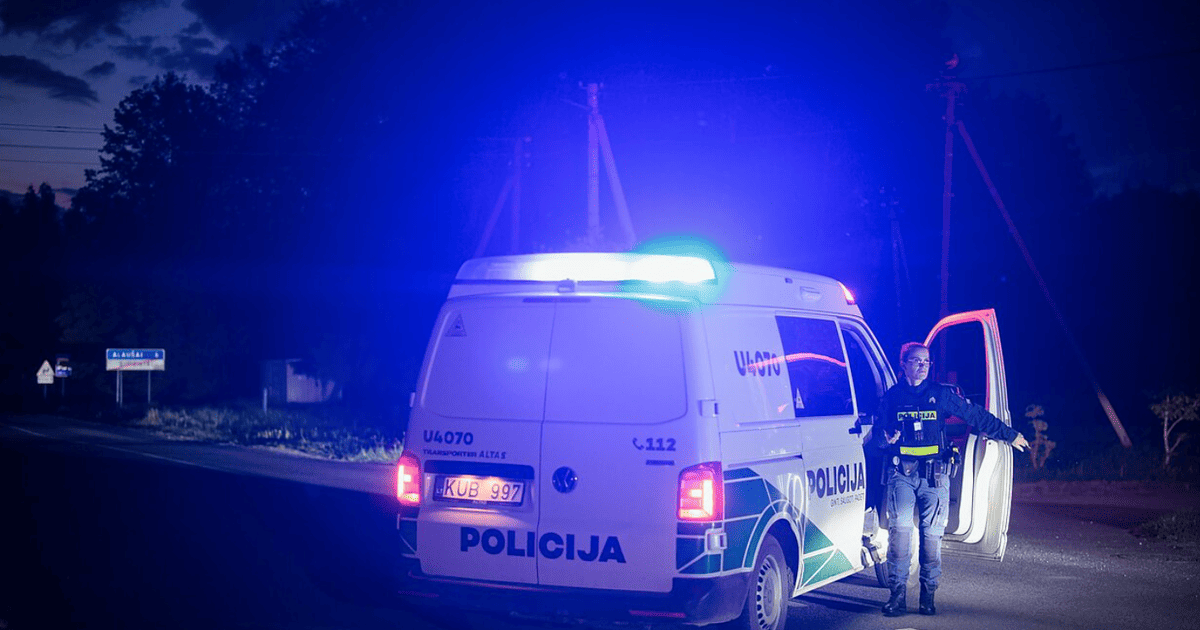 У Литві розбився невідомий безпілотник