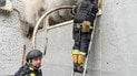 Страховики заявляють про чергову хвилю збитків і виплат після останнього масованого обстрілу