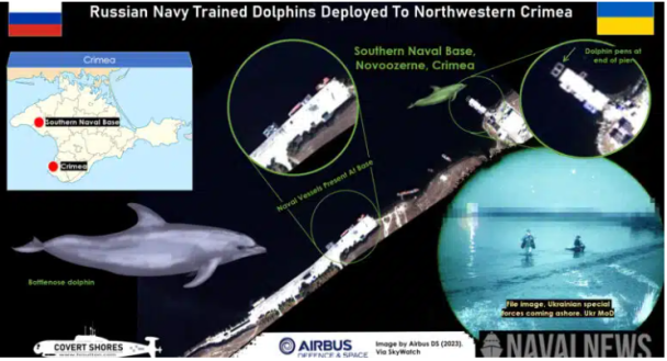 Бойових дельфінів перевезли до Новоозерного Фото: супутникові знімки Airbus DS (2023) через SkyWatch. / © 