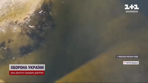 Мор риби на Десні